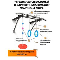 Турник Absolute Champion Оптимист АЧ 10045 (тарзанка, лестница, кольца, черный, черные ручки) - Превью изображения №7 — Интернет-магазин ПроЗаказ