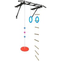 Absolute Champion Оптимист АЧ 10045 (тарзанка, лестница, кольца, черный, черные ручки)