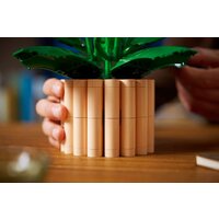 Конструктор LEGO The Botanical Collection 11504 Мирная лилия - Превью изображения №7 — Интернет-магазин ПроЗаказ