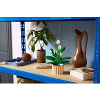 Конструктор LEGO The Botanical Collection 11504 Мирная лилия - Превью изображения №6 — Интернет-магазин ПроЗаказ