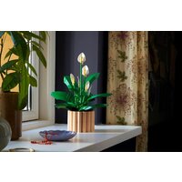 Конструктор LEGO The Botanical Collection 11504 Мирная лилия - Превью изображения №5 — Интернет-магазин ПроЗаказ