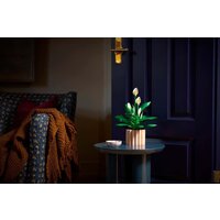 Конструктор LEGO The Botanical Collection 11504 Мирная лилия - Превью изображения №10 — Интернет-магазин ПроЗаказ