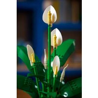 Конструктор LEGO The Botanical Collection 11504 Мирная лилия - Превью изображения №9 — Интернет-магазин ПроЗаказ