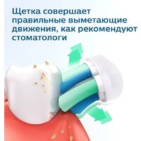 Электрическая зубная щетка Philips Sonicare 2100 Series HX3651/11 - Превью изображения №10 — Интернет-магазин ПроЗаказ