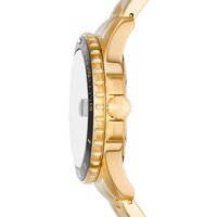 Наручные часы Fossil FS6035 - Превью изображения №2 — Интернет-магазин ПроЗаказ