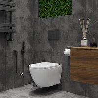 Унитаз подвесной Roxen Antares Tornado в комплекте с инсталляцией Asten Readle Zentralmodul с белой кнопкой - Превью изображения №7 — Интернет-магазин ПроЗаказ