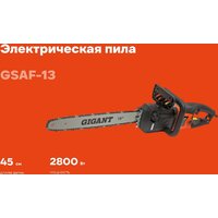 Gigant GSAF-13