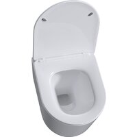 Унитаз подвесной Roxen Simple Compact 530120-01 Rimless Soft Close - Превью изображения №8 — Интернет-магазин ПроЗаказ