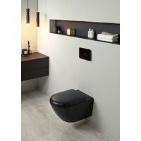 Сиденье для унитаза Villeroy & Boch Antao 8M67S1R7 - Превью изображения №3 — Интернет-магазин ПроЗаказ