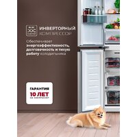 Четырёхдверный холодильник LEX LCD450WGID - Превью изображения №3 — Интернет-магазин ПроЗаказ