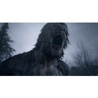  Resident Evil Village для PlayStation 4 - Превью изображения №6 — Интернет-магазин ПроЗаказ