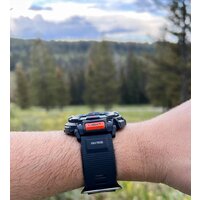 Наручные часы Casio Pro Trek PRG-340-1E - Превью изображения №4 — Интернет-магазин ПроЗаказ