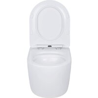 Унитаз подвесной Roxen Antares 530185-01 Rimless Soft Close - Превью изображения №11 — Интернет-магазин ПроЗаказ