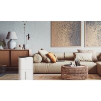 Осушитель воздуха Royal Clima Pacific Villa RD-PC40-E - Превью изображения №6 — Интернет-магазин ПроЗаказ