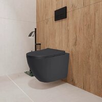 Унитаз подвесной Lauter Augsburg 21109EC + I012709 + I090138 (черный матовый с кнопкой смыва черный матовый) - Превью изображения №10 — Интернет-магазин ПроЗаказ
