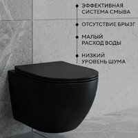 Унитаз подвесной Lauter Augsburg 21109EC + I012709 + I090138 (черный матовый с кнопкой смыва черный матовый) - Превью изображения №3 — Интернет-магазин ПроЗаказ