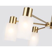 Подвесная люстра Ambrella light TR9581/6 BS (латунь) - Превью изображения №4 — Интернет-магазин ПроЗаказ