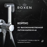 Гигиенический душ Roxen Santi 500940-B (черный матовый) - Превью изображения №8 — Интернет-магазин ПроЗаказ