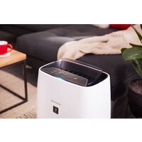Очиститель воздуха Sharp FP-J40EU-W - Превью изображения №5 — Интернет-магазин ПроЗаказ