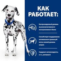 Сухой корм для собак Hill's Prescription Diet Urinary Care u/d Original 4 кг - Превью изображения №4 — Интернет-магазин ПроЗаказ