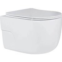 Унитаз подвесной Roxen Porto 530155-01 Rimless Soft Close - Превью изображения №5 — Интернет-магазин ПроЗаказ