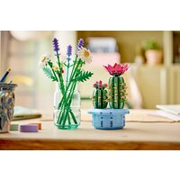Конструктор LEGO The Botanical Collection 11509 Цветущий кактус в горшке - Превью изображения №8 — Интернет-магазин ПроЗаказ