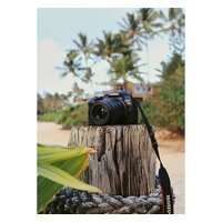 Беззеркальный фотоаппарат Canon EOS R10 RF-S 18-45mm F4.5-6.3 IS STM - Превью изображения №14 — Интернет-магазин ПроЗаказ