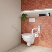 Сиденье для унитаза Villeroy & Boch 9M67S1T1 - Превью изображения №17 — Интернет-магазин ПроЗаказ