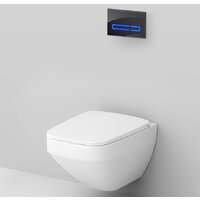 Унитаз подвесной AM.PM Inspire 2.0 FlashClean IS450A38.50A1700 - Превью изображения №2 — Интернет-магазин ПроЗаказ