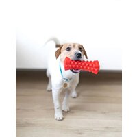 Игрушка для собак Fancy Pets Кусалка FPP11 - Превью изображения №4 — Интернет-магазин ПроЗаказ