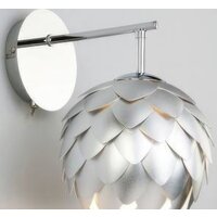 Bogate's Cedro 304