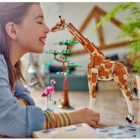 Конструктор LEGO Creator 31150 Дикие животные сафари - Превью изображения №9 — Интернет-магазин ПроЗаказ