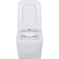 Унитаз подвесной Roxen Boro 530145-01 Rimless Soft Close - Превью изображения №6 — Интернет-магазин ПроЗаказ