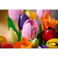 Конструктор LEGO The Botanical Collection 11501 Букет Тюльпанов - Превью изображения №9 — Интернет-магазин ПроЗаказ