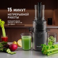 Соковыжималка Weissgauff WSJ 200 MB Compact Juice - Превью изображения №14 — Интернет-магазин ПроЗаказ