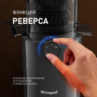 Соковыжималка Weissgauff WSJ 200 MB Compact Juice - Превью изображения №8 — Интернет-магазин ПроЗаказ