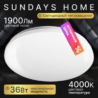 Sundays Home 240924-5 5719