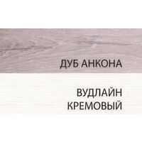 Шкаф-пенал Anrex Olivia 1DZ (вудлайн крем/дуб анкора) - Превью изображения №4 — Интернет-магазин ПроЗаказ