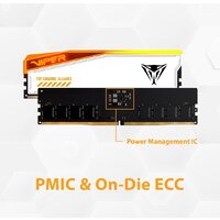 Оперативная память Patriot Viper Elite 5 RGB TUF Gaming Alliance 2x16ГБ DDR5 6000 МГц PVER532G60C36KT - Превью изображения №11 — Интернет-магазин ПроЗаказ