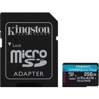 Kingston Canvas Go! Plus microSDXC 256GB SDCG3/256GB (с адаптером)