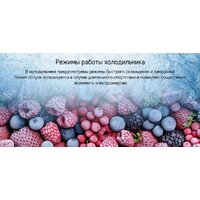 Холодильник MAUNFELD MFF180NFSBE01 - Превью изображения №23 — Интернет-магазин ПроЗаказ