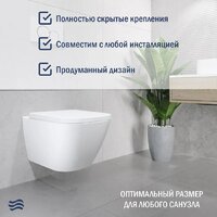 Унитаз подвесной Lauter Nuremberg 21811 + 21901002 (белый, с кнопкой смыва 219704J черный) - Превью изображения №4 — Интернет-магазин ПроЗаказ