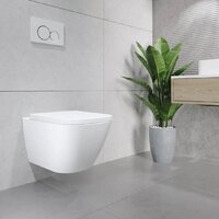 Унитаз подвесной Lauter Nuremberg 21811 + 21901002 (белый, с кнопкой смыва 219704J черный) - Превью изображения №15 — Интернет-магазин ПроЗаказ