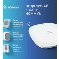 Центр управления (хаб) Hommyn Hub HH-01 - Превью изображения №6 — Интернет-магазин ПроЗаказ
