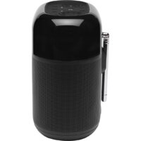 Радиоприемник JBL Tuner XL - Превью изображения №4 — Интернет-магазин ПроЗаказ
