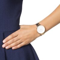 Наручные часы Skagen SKW2331 - Превью изображения №3 — Интернет-магазин ПроЗаказ