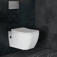 Унитаз подвесной Roxen Cube Bidet One Rimless 6 в 1 StounFix Dual Fresh 608961 (кнопка: матовая) - Превью изображения №10 — Интернет-магазин ПроЗаказ