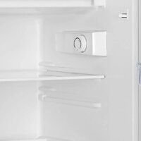 Однокамерный холодильник Gorenje RB492PW - Превью изображения №5 — Интернет-магазин ПроЗаказ