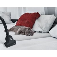 Пылесос Hoover TXL20PET 011 - Превью изображения №9 — Интернет-магазин ПроЗаказ