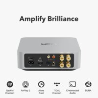 Сетевой интегральный усилитель WiiM Amp (серебристый) - Превью изображения №3 — Интернет-магазин ПроЗаказ